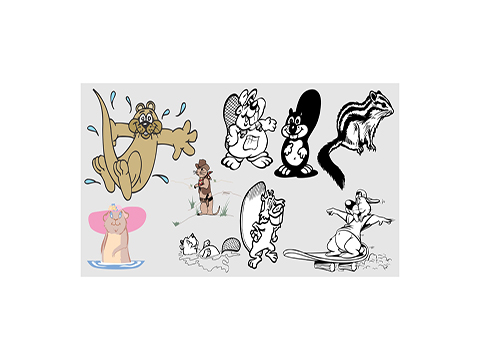 Card image cap